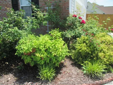75 Edgecombe, Spring Lake, NC 28390 photo 12
