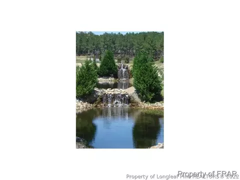 641 Orchard Falls Dr, Spring Lake, NC 28390 photo 34
