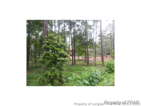 47 Mcmichael Dr, Pinehurst, NC 28374 photo 28