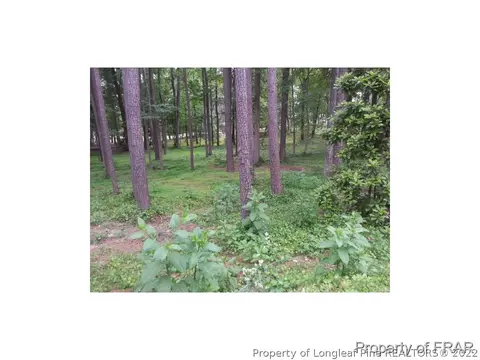 47 Mcmichael Dr, Pinehurst, NC 28374 photo 27