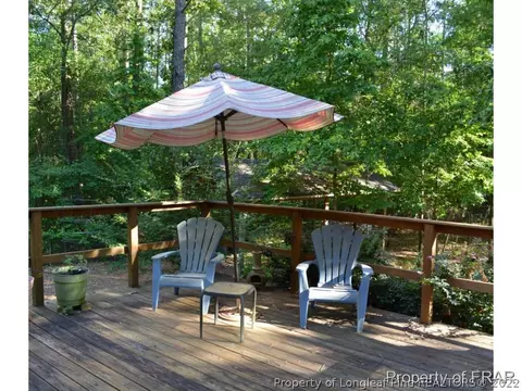 3936 Arabia Rd, Raeford, NC 28376 photo 24