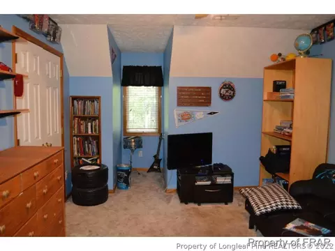 3936 Arabia Rd, Raeford, NC 28376 photo 14