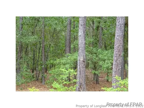 16080 Bee Tree Ln, Wagram, NC 28396 photo 27