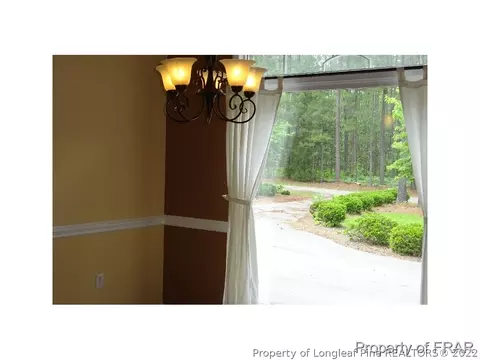 16080 Bee Tree Ln, Wagram, NC 28396 photo 7