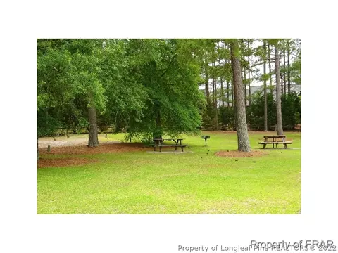 16080 Bee Tree Ln, Wagram, NC 28396 photo 30