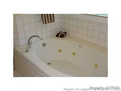 16080 Bee Tree Ln, Wagram, NC 28396 photo 14