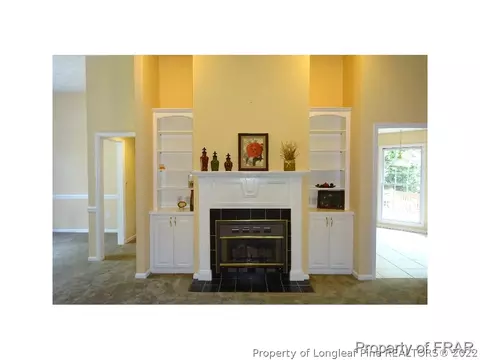 16080 Bee Tree Ln, Wagram, NC 28396 photo 4