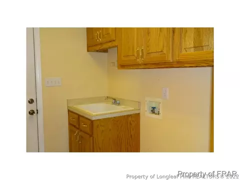 16080 Bee Tree Ln, Wagram, NC 28396 photo 19