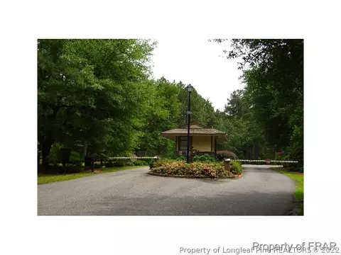 16080 Bee Tree Ln, Wagram, NC 28396 photo 36