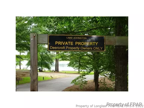 16080 Bee Tree Ln, Wagram, NC 28396 photo 28