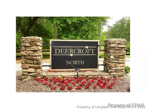 16080 Bee Tree Ln, Wagram, NC 28396 photo 1