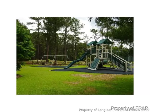16080 Bee Tree Ln, Wagram, NC 28396 photo 33