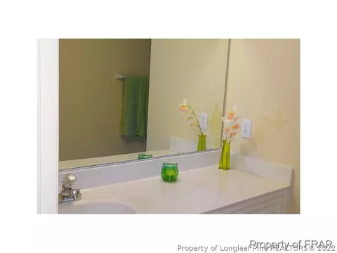 16080 Bee Tree Ln, Wagram, NC 28396 photo 17