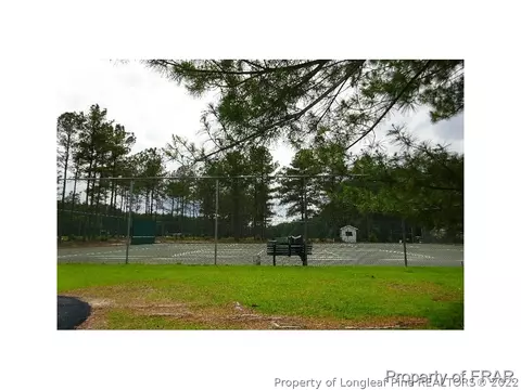 16080 Bee Tree Ln, Wagram, NC 28396 photo 34