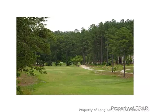 16080 Bee Tree Ln, Wagram, NC 28396 photo 26