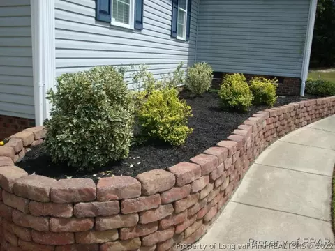 217 Juno Dr, Broadway, NC 27505 photo 3