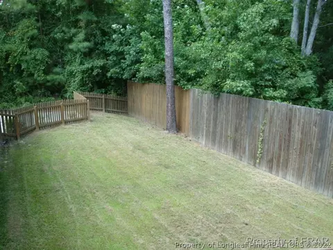 217 Juno Dr, Broadway, NC 27505 photo 16