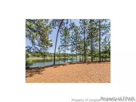 4 Shenecossett, Pinehurst, NC 28374 photo 33