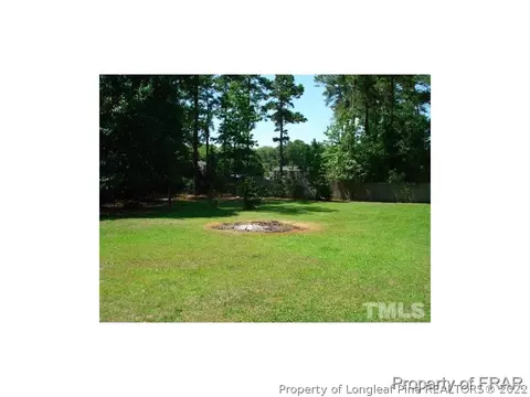 571 Green Path Rd, Godwin, NC 28344 photo 7