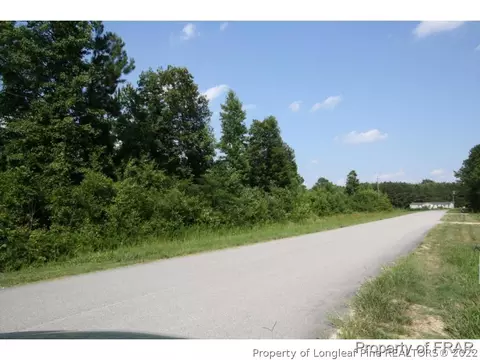4204 Lee Rd, Wade, NC 28395 photo 3