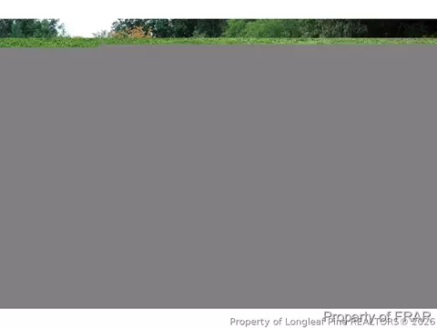135 Meherrin Loop, Raeford, NC 28376 photo 19