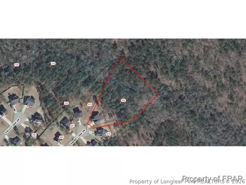 476 Basket Oak Dr, Bunnlevel, NC 28323 photo 2