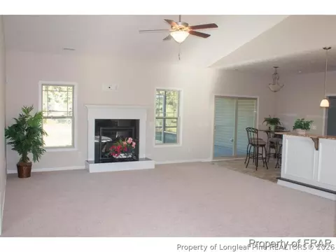 541 Spring Flowers Dr, Cameron, NC 28326 photo 10