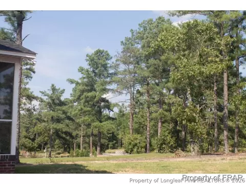 515 Spring Flowers Dr, Cameron, NC 28326 photo 4