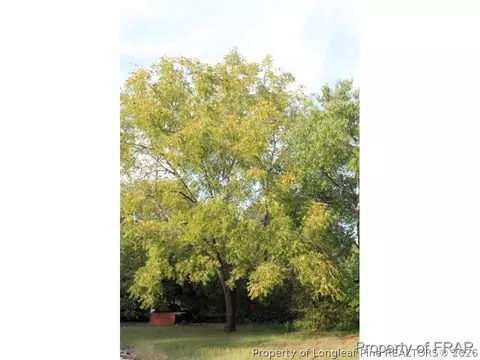 7176 Lee Ave, Wade, NC 28395 photo 25