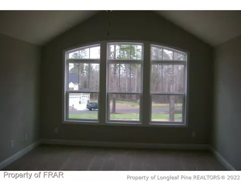 381 Mountain Run Rd, West End, NC 27376 photo 18