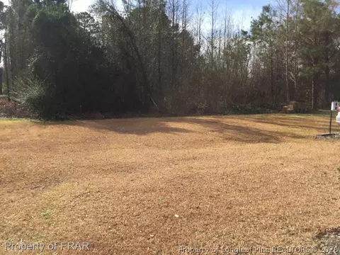 216 Pendergraft Rd, Bunnlevel, NC 28323 photo 15