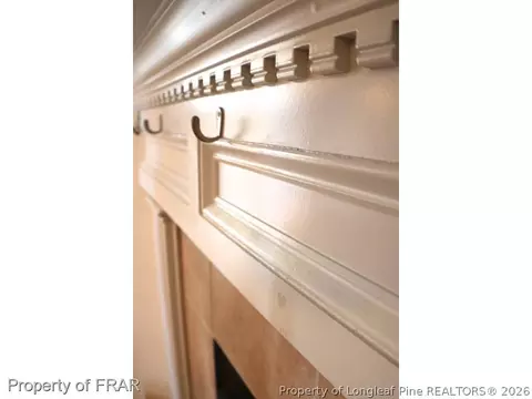 193 Stream Fall Ct, Raeford, NC 28376 photo 5