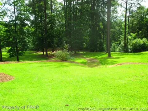 43 Waters Edge, Erwin, NC 28339 photo 9