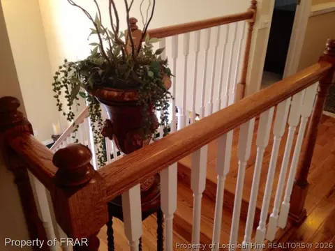 43 Waters Edge, Erwin, NC 28339 photo 10