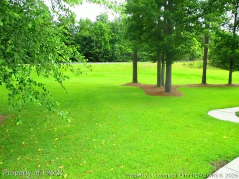 43 Waters Edge, Erwin, NC 28339 photo 34