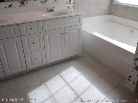 43 Waters Edge, Erwin, NC 28339 photo 19
