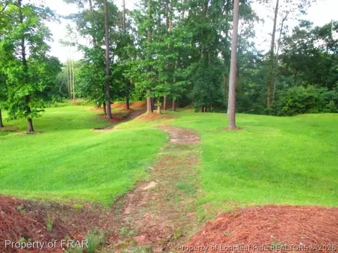 43 Waters Edge, Erwin, NC 28339 photo 33