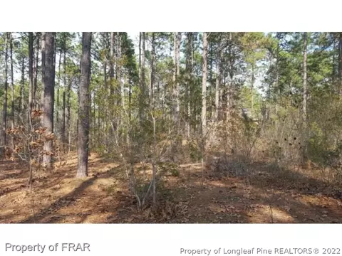 214 National Dr, Pinehurst, NC 28374 photo 9