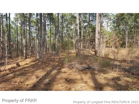 214 National Dr, Pinehurst, NC 28374 photo 10