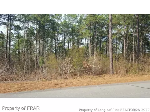 214 National Dr, Pinehurst, NC 28374 photo 8