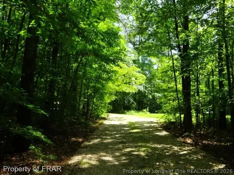 6109 River Rd, Wade, NC 28395 photo 9