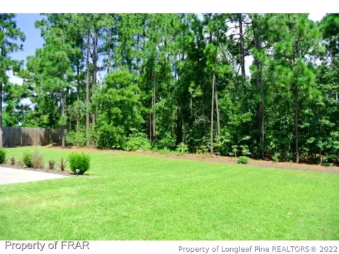 127 Strike Eagle, Broadway, NC 27505 photo 2