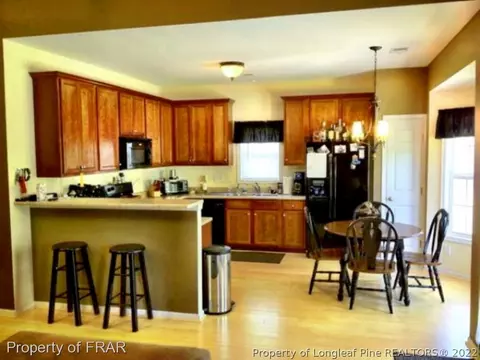 127 Strike Eagle, Broadway, NC 27505 photo 10