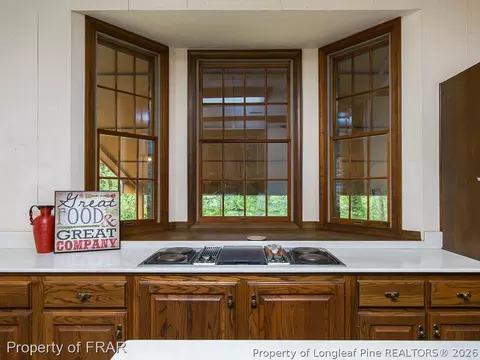 6003 Elva Wallace Rd, Godwin, NC 28344 photo 7