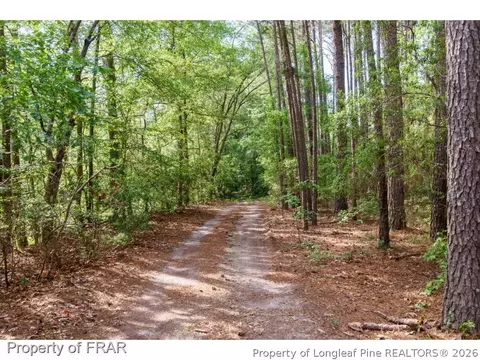 6003 Elva Wallace Rd, Godwin, NC 28344 photo 3