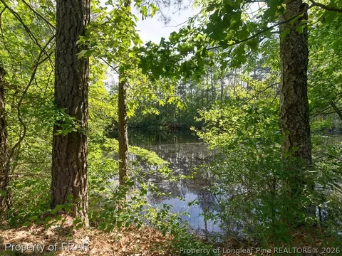 6003 Elva Wallace Rd, Godwin, NC 28344 photo 22