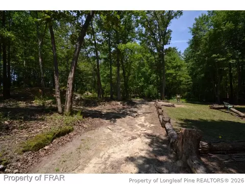 8223 Nc Highway 210 S, Bunnlevel, NC 28323 photo 34