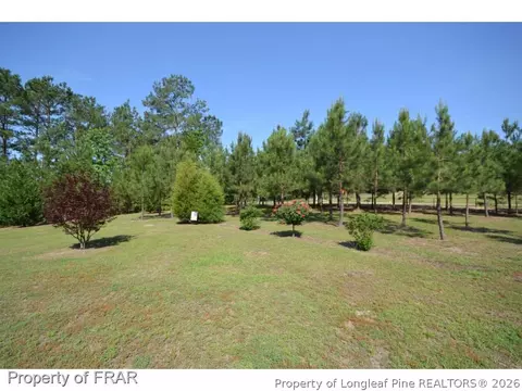8223 Nc Highway 210 S, Bunnlevel, NC 28323 photo 32