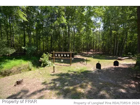 8223 Nc Highway 210 S, Bunnlevel, NC 28323 photo 33