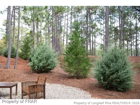 116 Killiney Ct, Pinehurst, NC 28374 photo 22